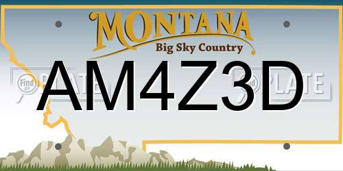 AM4Z3D Montana License Plate