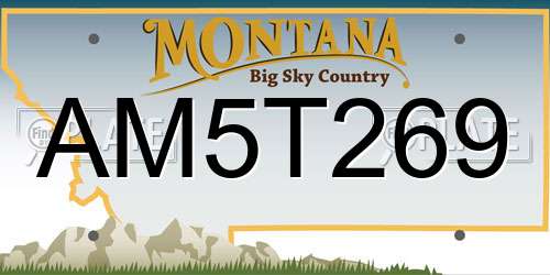 AM5T269 Montana License Plate
