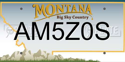 AM5Z0S Montana License Plate