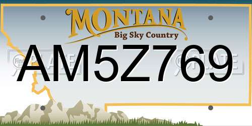 AM5Z769 Montana License Plate