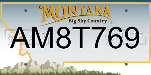 AM8T769 Montana License Plate
