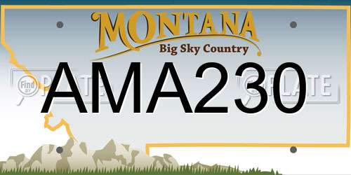 AMA230 Montana License Plate