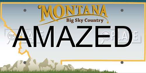 AMAZED Montana License Plate