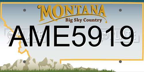 AME5919 Montana License Plate