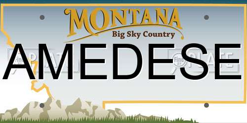 AMEDESE Montana License Plate