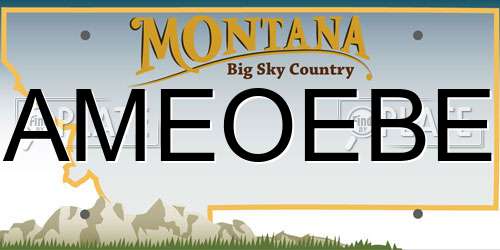 AMEOEBE Montana License Plate