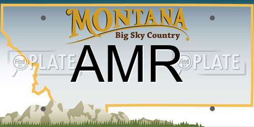 AMR Montana License Plate