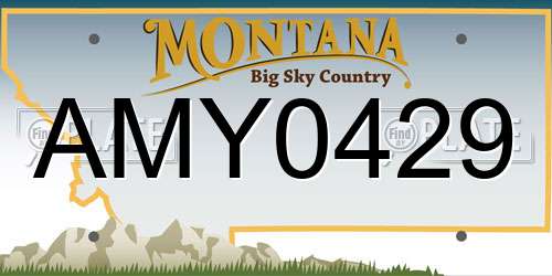 AMY0429 Montana License Plate
