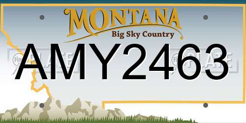 AMY2463 Montana License Plate