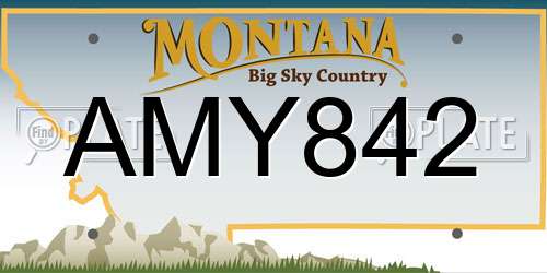 AMY842 Montana License Plate