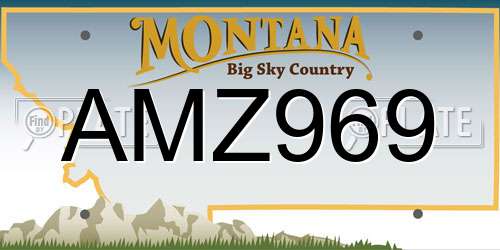 AMZ969 Montana License Plate