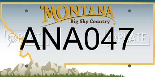 ANA047 Montana License Plate