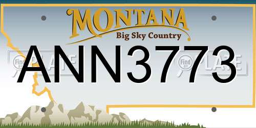 ANN3773 Montana License Plate