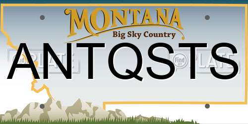 ANTQSTS Montana License Plate