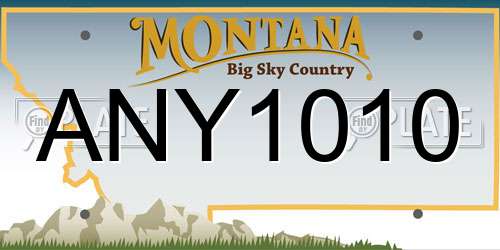 ANY1010 Montana License Plate