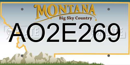 AO2E269 Montana License Plate