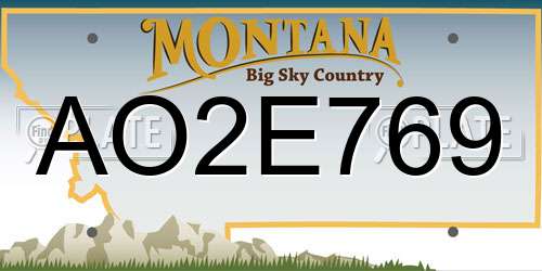 AO2E769 Montana License Plate