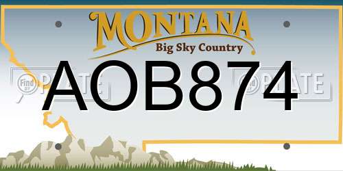 AOB874 Montana License Plate
