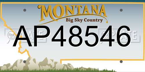 AP48546 Montana License Plate