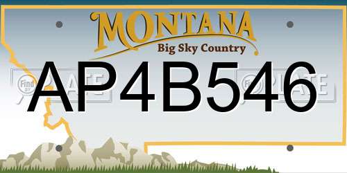 AP4B546 Montana License Plate