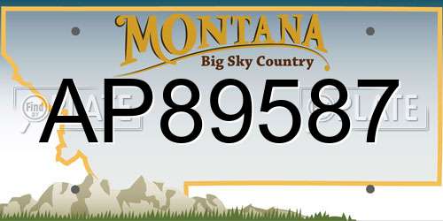 AP89587 Montana License Plate