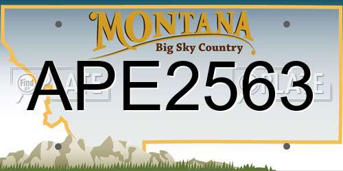 APE2563 Montana License Plate