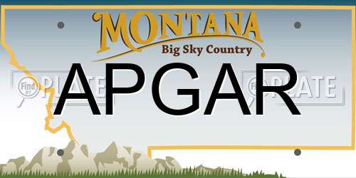 APGAR Montana License Plate