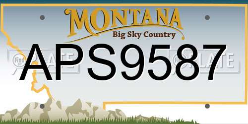APS9587 Montana License Plate