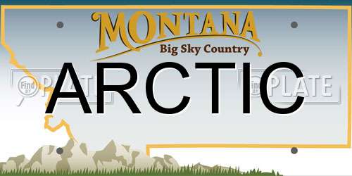 ARCTIC Montana License Plate