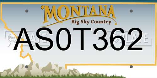 AS0T362 Montana License Plate