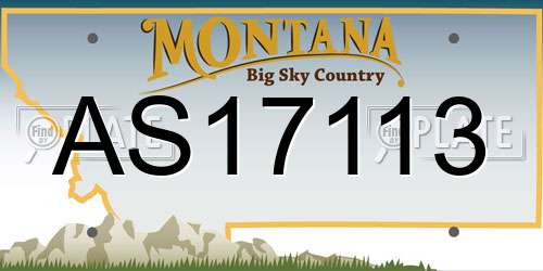 AS17113 Montana License Plate