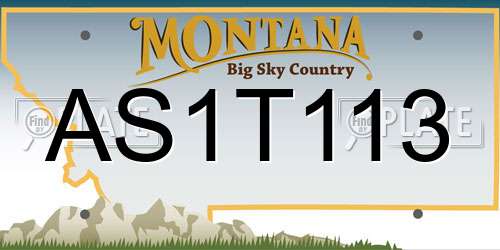 AS1T113 Montana License Plate