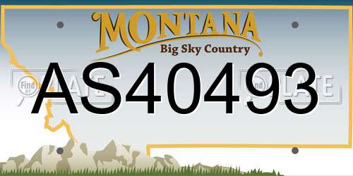 AS40493 Montana License Plate