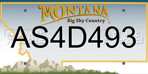 AS4D493 Montana License Plate