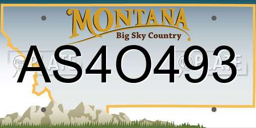 AS4O493 Montana License Plate