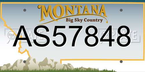 AS57848 Montana License Plate
