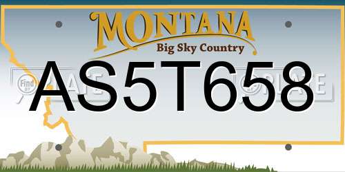 AS5T658 Montana License Plate