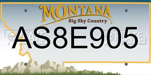 AS8E905 Montana License Plate