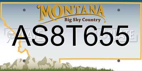 AS8T655 Montana License Plate
