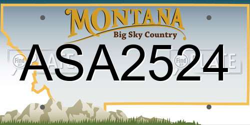 ASA2524 Montana License Plate