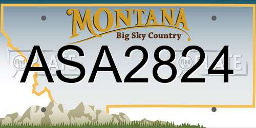 ASA2824 Montana License Plate