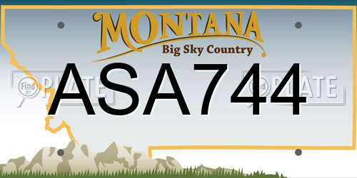 ASA744 Montana License Plate