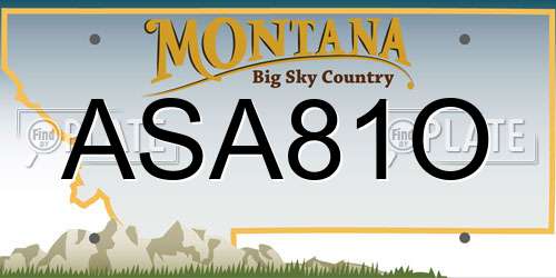 ASA81O Montana License Plate