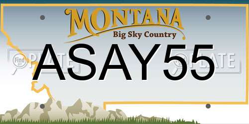 ASAY55 Montana License Plate