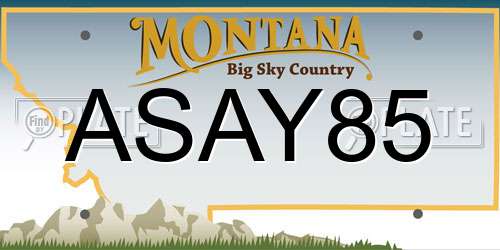 ASAY85 Montana License Plate