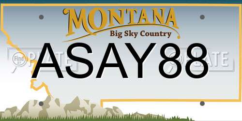ASAY88 Montana License Plate