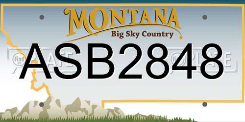 ASB2848 Montana License Plate