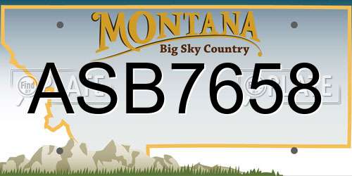 ASB7658 Montana License Plate