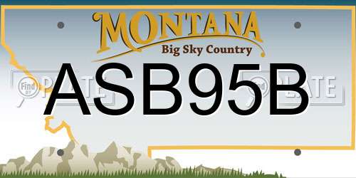 ASB95B Montana License Plate