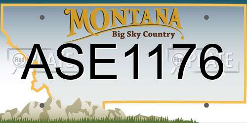 ASE1176 Montana License Plate